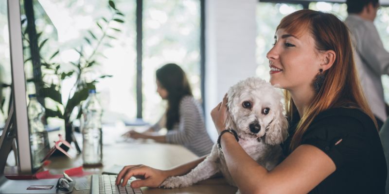 woman working cuddling dog