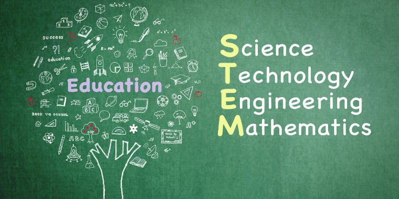 stem-tree-diagram