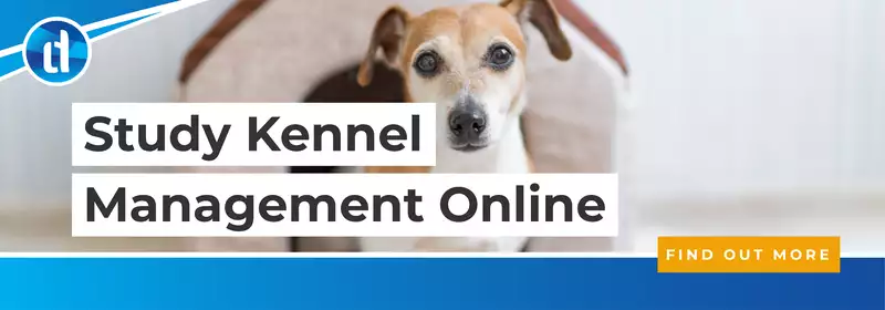 learndirect - Study Kennl Management Online