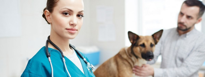 Veterinary Science and Animal Care Courses